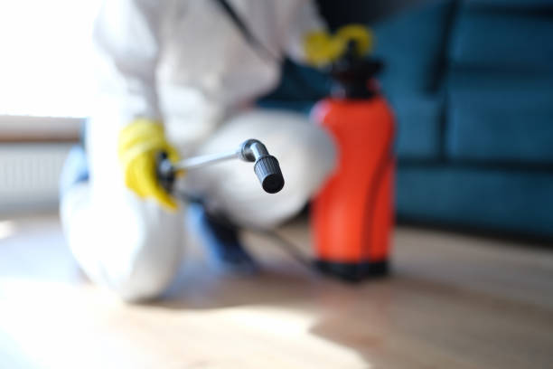 Tulsa, OK Mold Inspection, Removal & Remediation Company